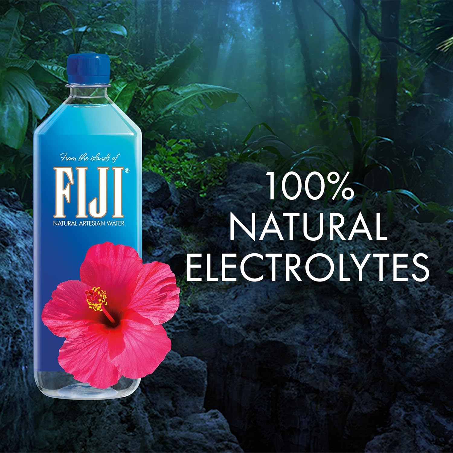 FIJI Pure Artesian Bottled Water, 1 Liter / 33.8 Fl Oz (Pack of 12) - Image 4
