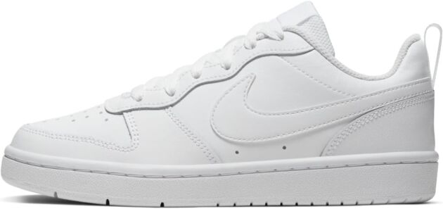 Nike Boys' Court docket Borough Low 2 (PSV) Trainers